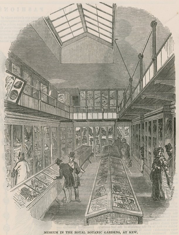 Museo en los Jardines Botánicos Reales, en Kew de English School