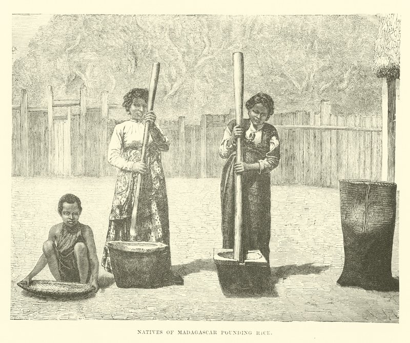 Nativos de Madagascar moliendo arroz de English School