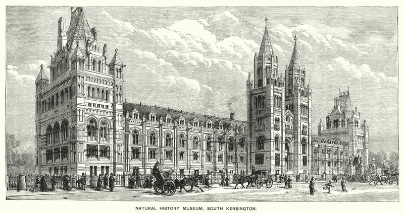 Museo de Historia Natural, South Kensington de English School