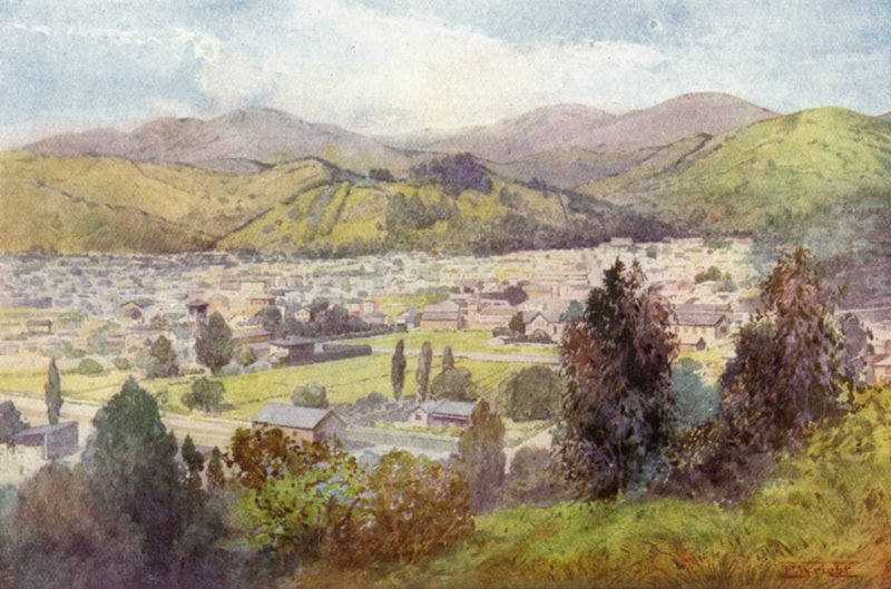 Nueva Zelanda: Nelson (litografía en color) de English School