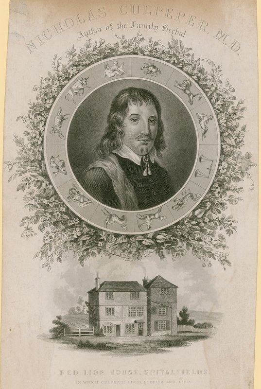 Nicholas Culpepper, MD de English School