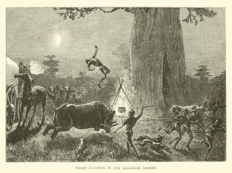 Sorpresa nocturna en el desierto de Kalahari de English School