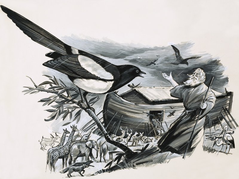 El arca de Noé de English School
