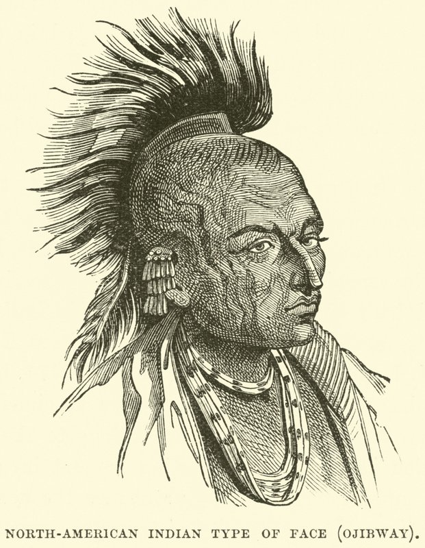 Tipo de rostro indio norteamericano, Ojibway de English School