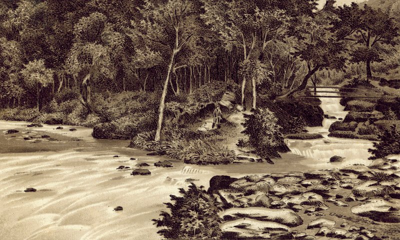 Norte de Devon: "The Watersmeet", Lynmouth (litografía) de English School