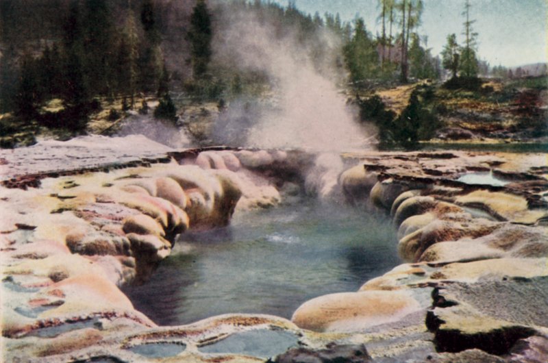 Géiser Oblongo, Parque Yellowstone de English School