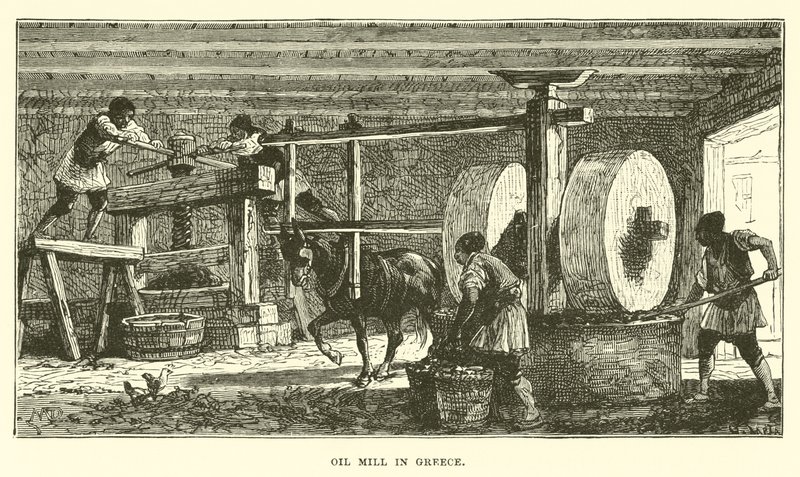 Molino de aceite en Grecia de English School