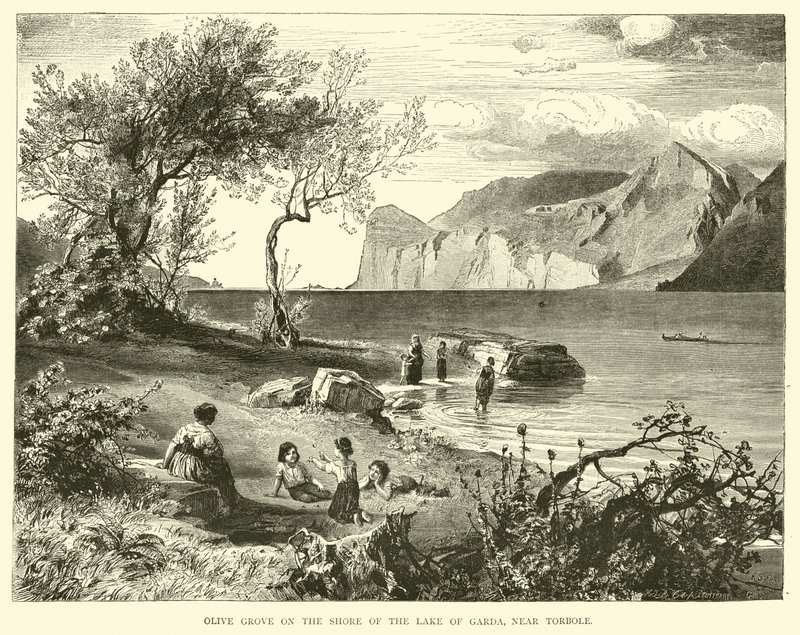 Olivares en la orilla del Lago de Garda, cerca de Torbole de English School