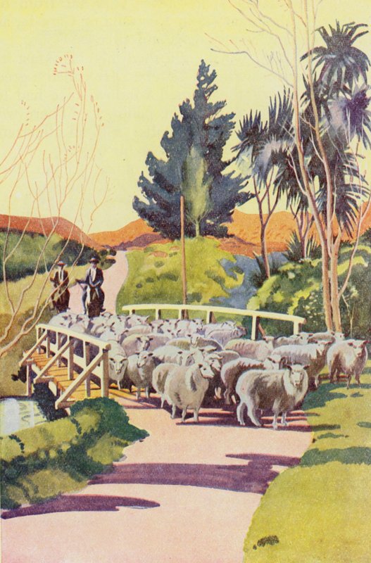 En una estación ovina de Nueva Zelanda (litografía en color) de English School