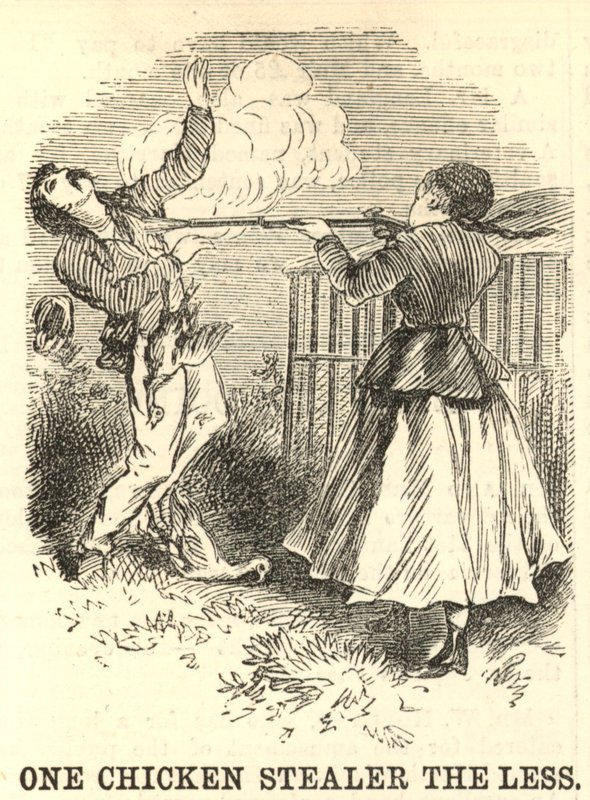 Un ladrón de pollos menos de English School