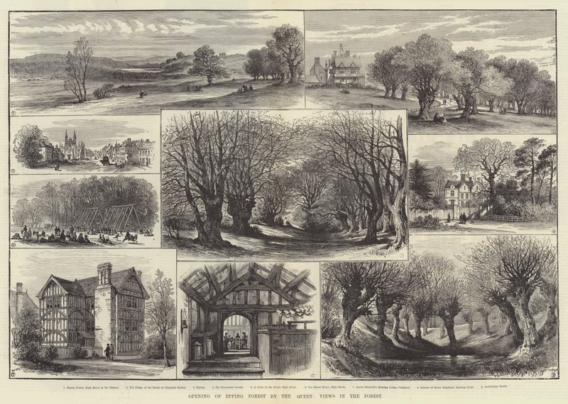 Apertura del Bosque de Epping por la Reina, Vistas en el Bosque de English School