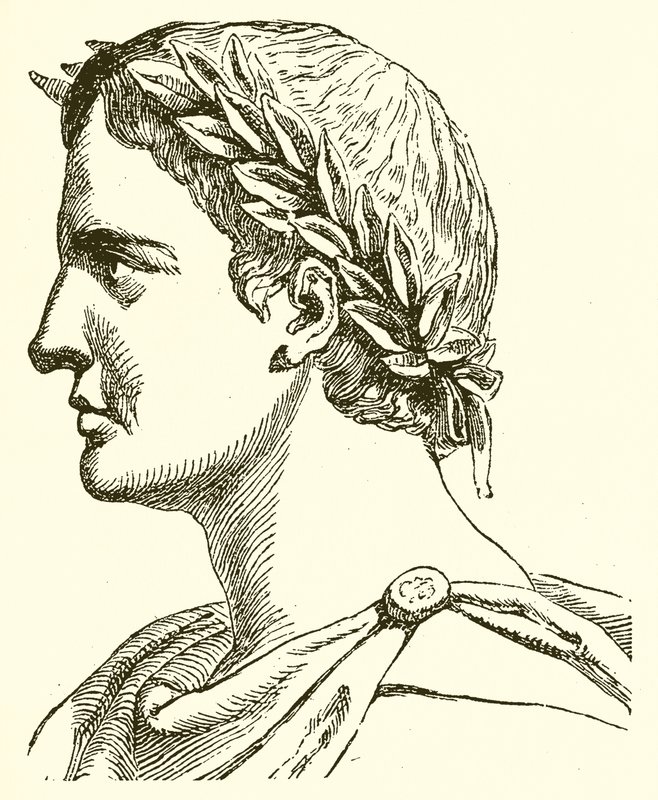 P. Ovidio Nasón de English School