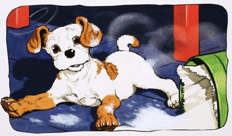 Paddy Paws de English School