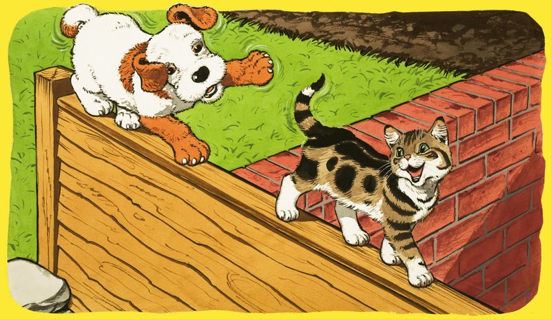 Paddy Paws de English School