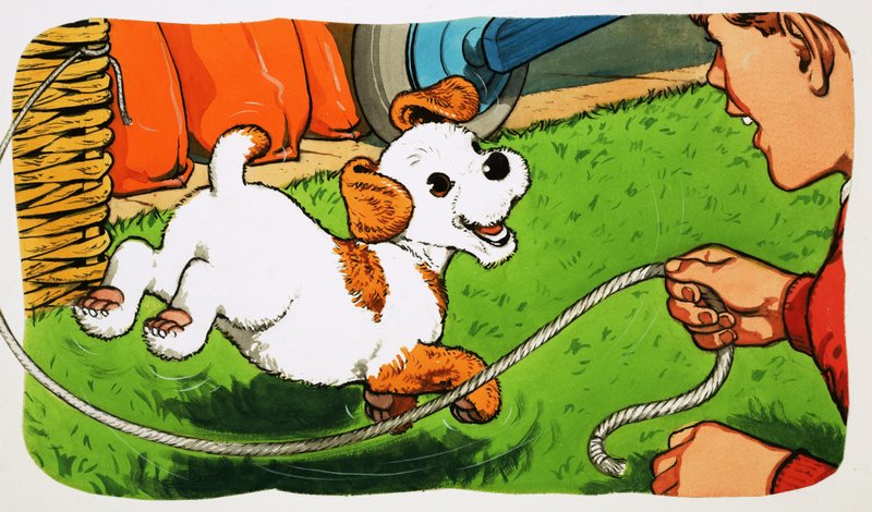 Paddy Paws de English School