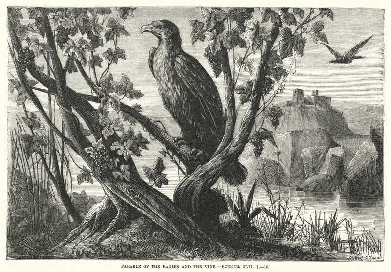 Parábola de las águilas y la vid, Ezequiel XVII de English School