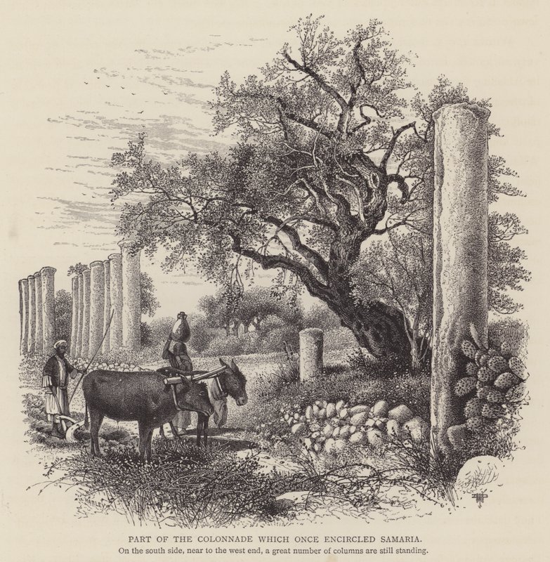 Parte de la columnata que una vez rodeó Samaria (grabado) de English School