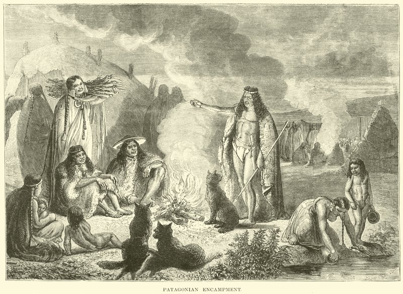 Campamento patagónico de English School