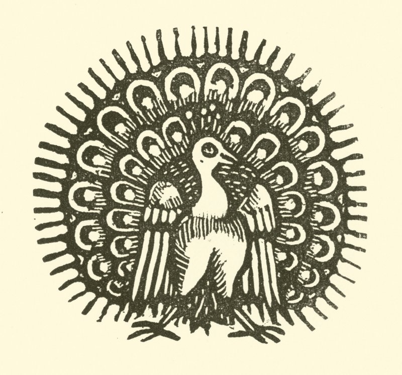 Pavo real de English School