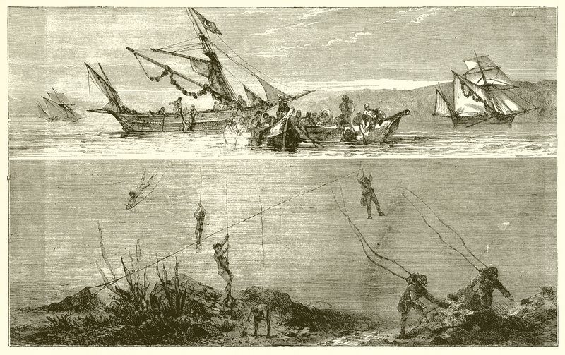 Pesca de Perlas de English School