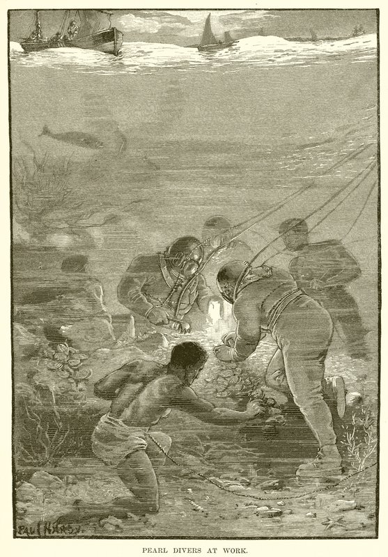 Buzos de perlas en acción de English School