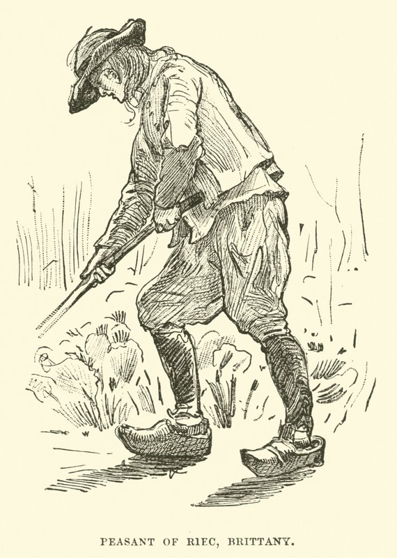 Campesino de Riec, Bretaña de English School