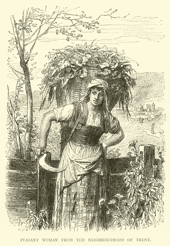 Campesina de los alrededores de Trento de English School