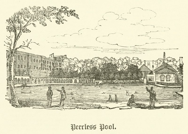 Piscina Peerless de English School