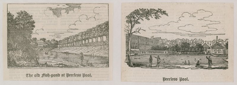 Peerless Pool de English School