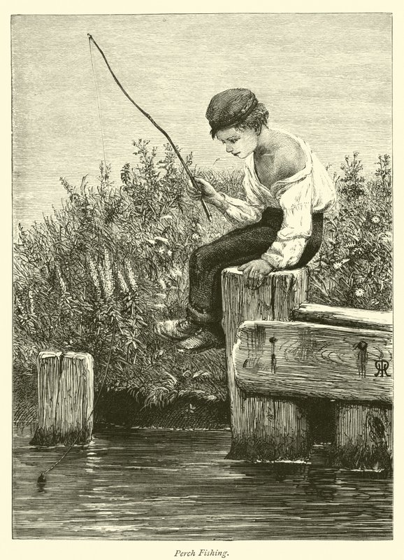 Pesca de perca de English School