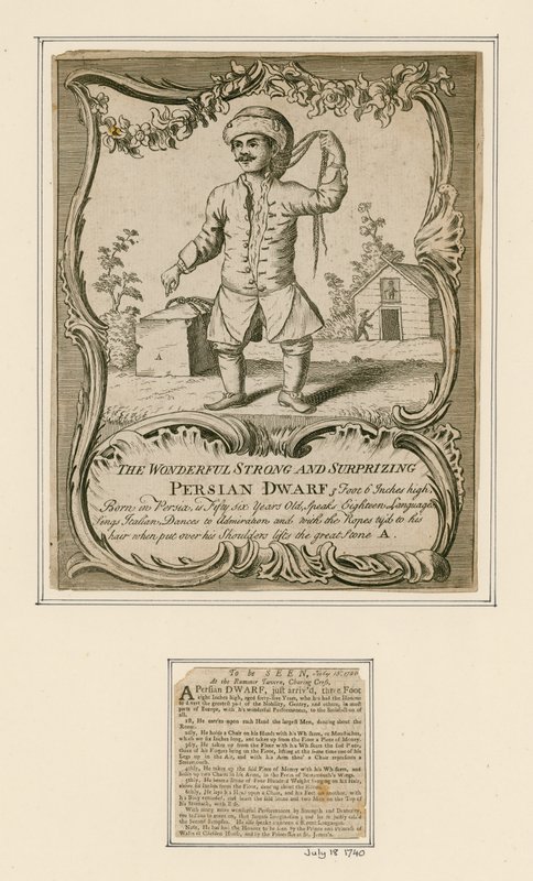 Enano persa de English School