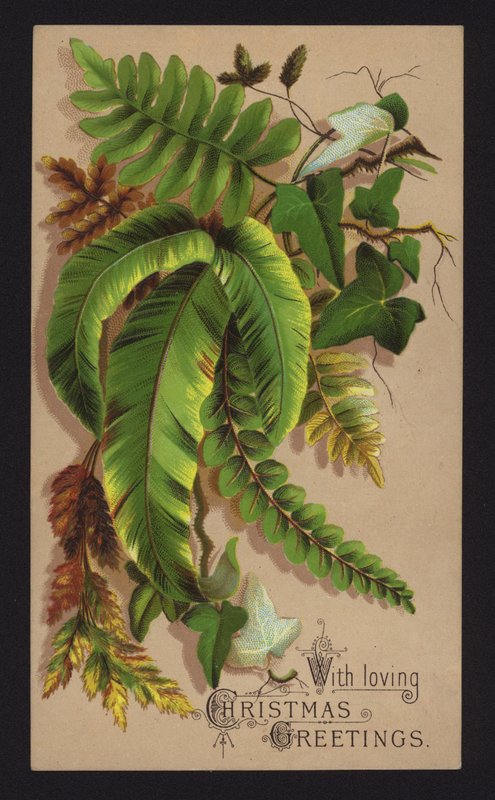 Hojas de plantas, tarjeta de felicitación navideña, finales del siglo XIX o principios del XX (cromolito) de English School