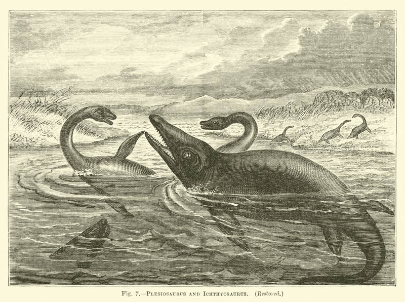Plesiosaurio e ictiosaurio de English School