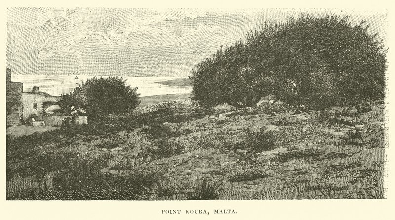 Punto Koura, Malta de English School
