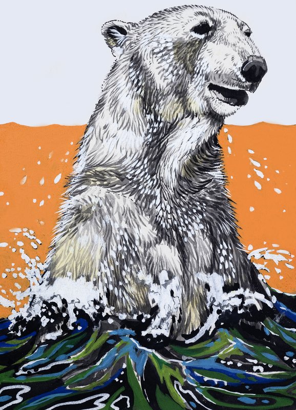 Oso polar (gouache sobre papel) de English School