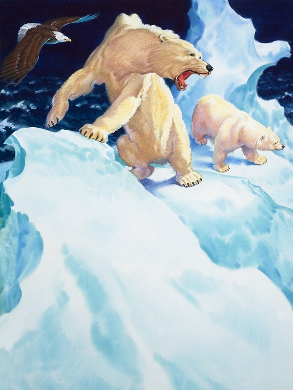 Osos polares y águila real (gouache sobre papel) de English School