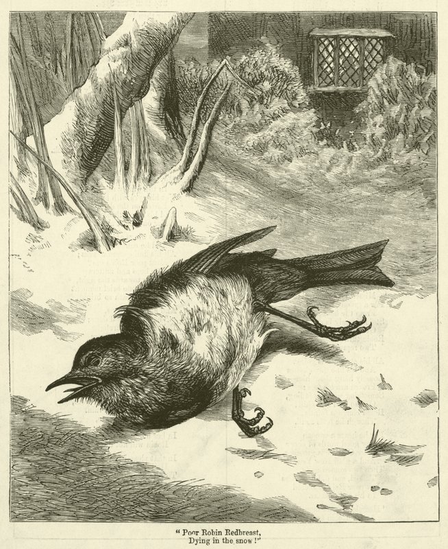 "Pobre Robin Pechirrojo, ¡Muriendo en la nieve!" (grabado) de English School