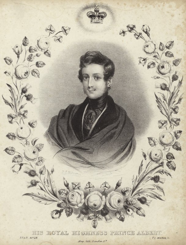 Retrato de Alberto, el Príncipe Consorte de English School