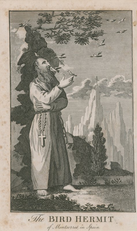 Retrato del Ermitaño de los Pájaros de Montserrat de English School
