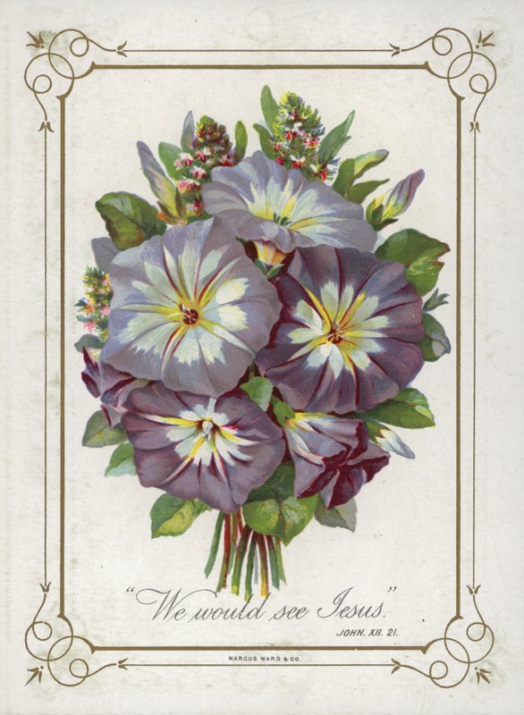 Ramillete de flores de English School