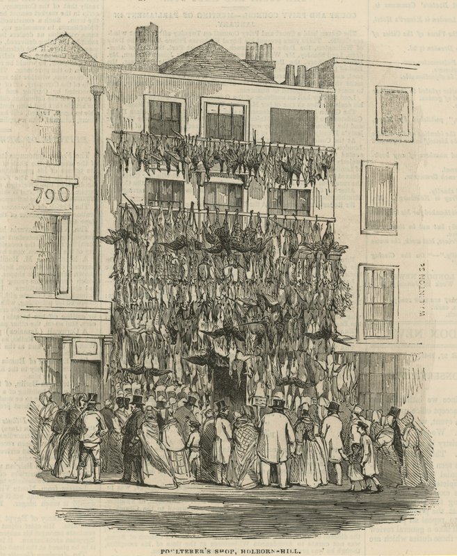 Tienda de Aves en Holborn Hill de English School