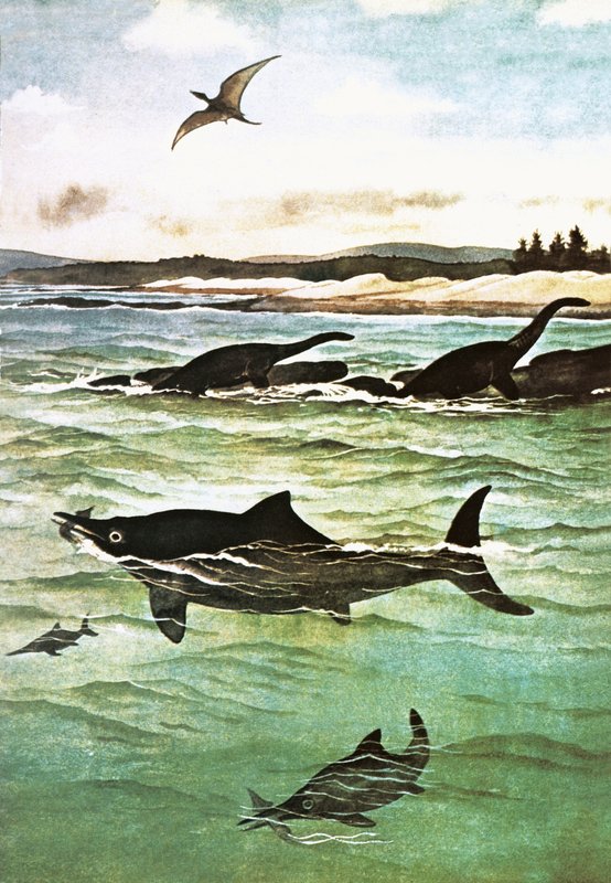 Criaturas marinas prehistóricas de English School