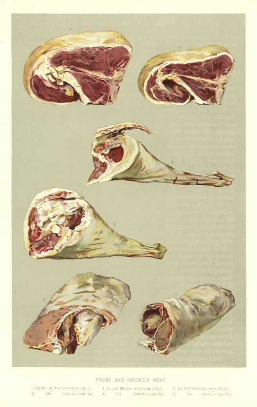 Carne de primera e inferior de English School