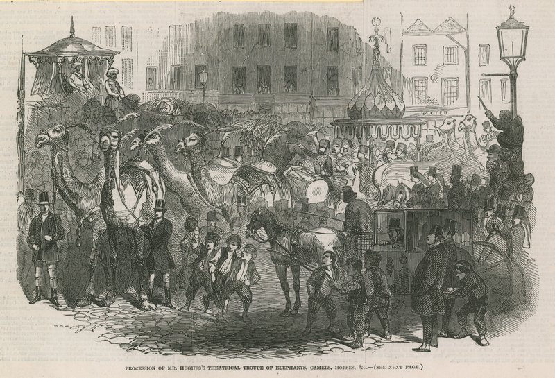 Procesión de la compañía teatral de elefantes, camellos, caballos, etc. de Mr Hughes de English School
