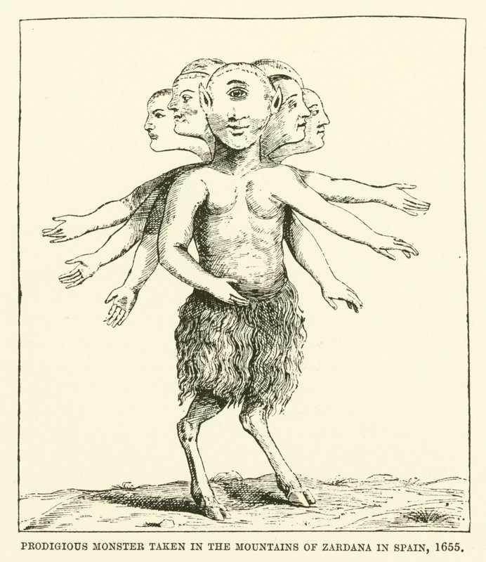 Monstruo prodigioso capturado en las montañas de Zardana en España, 1655 de English School