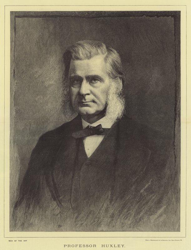 Profesor Huxley de English School