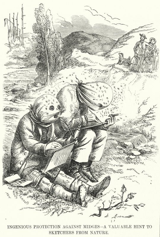 Caricatura de Punch: Protección Ingeniosa contra los Mosquitos - un Consejo Valioso para los Dibujantes de la Naturaleza de English School