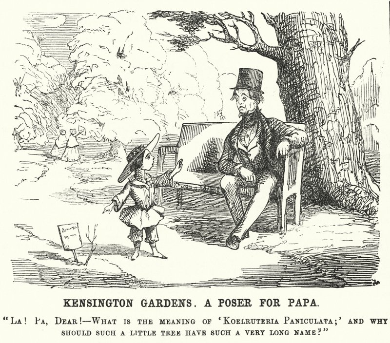 Caricatura de Punch: niña preguntando a su padre en los Jardines de Kensington, Londres de English School