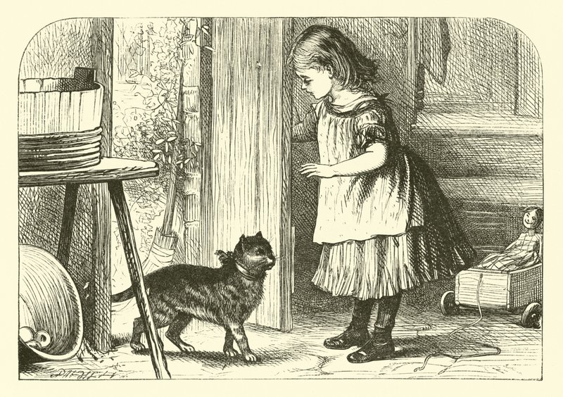 Gatito, Gatito de English School