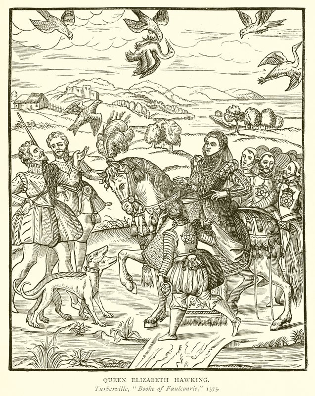 La Reina Isabel cazando con halcón de English School